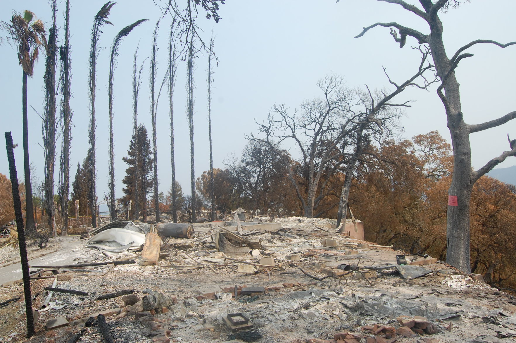 Steele Fire